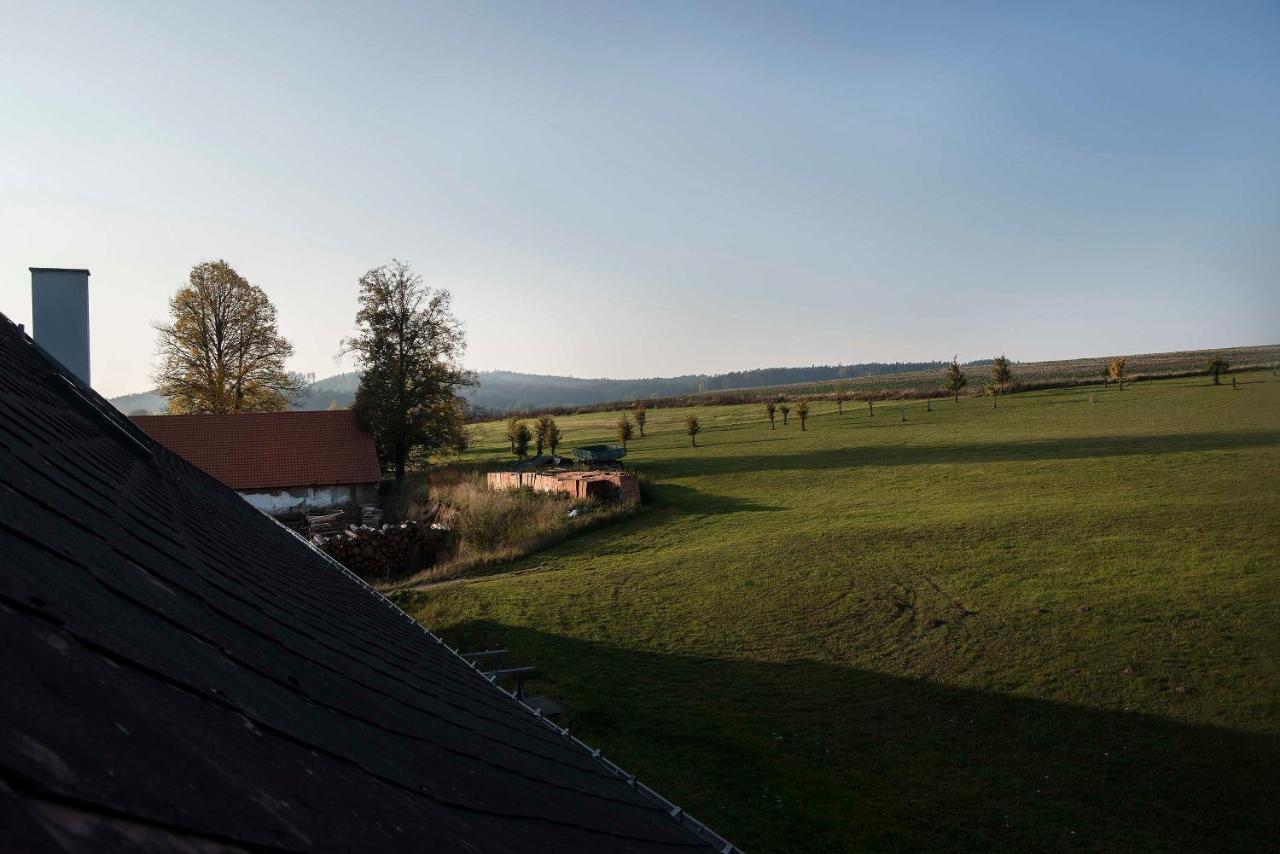 Hotel Zamek Liboun à Louňovice pod Blaníkem Extérieur photo