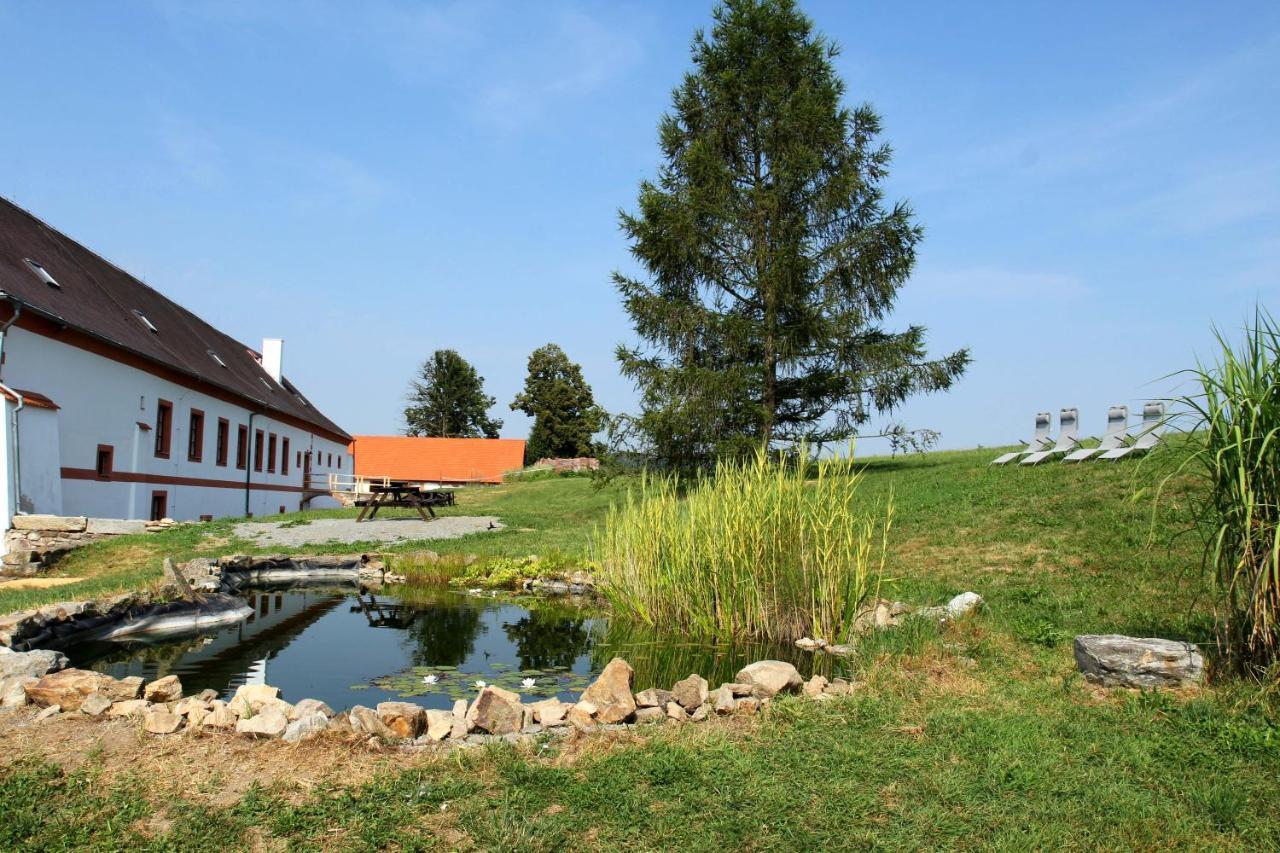 Hotel Zamek Liboun à Louňovice pod Blaníkem Extérieur photo